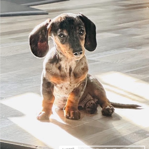 Hi Friend, I’m Christeena - Picture 6 of 16